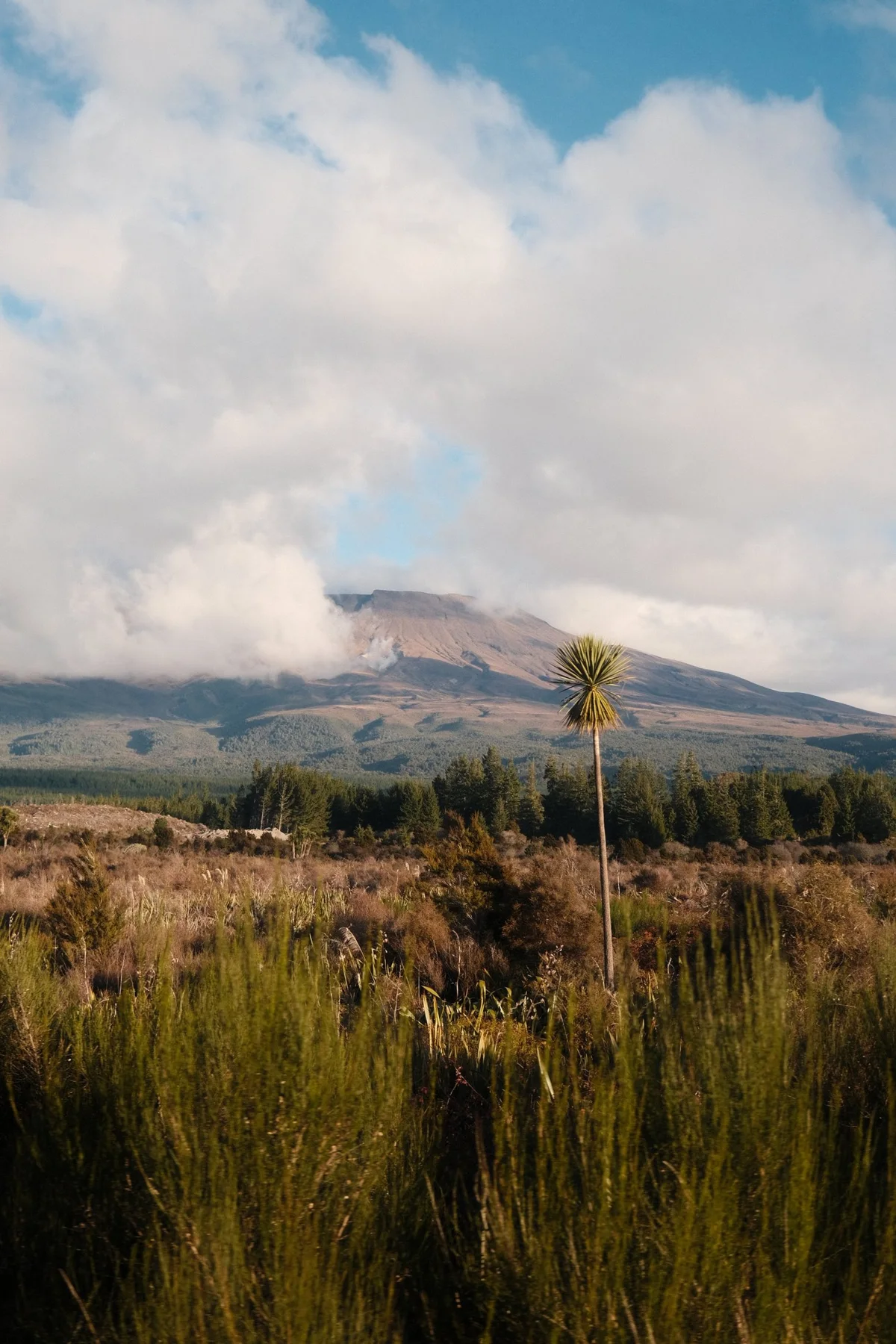Photograph from Landscapes by Aaron Francesco Zeiss