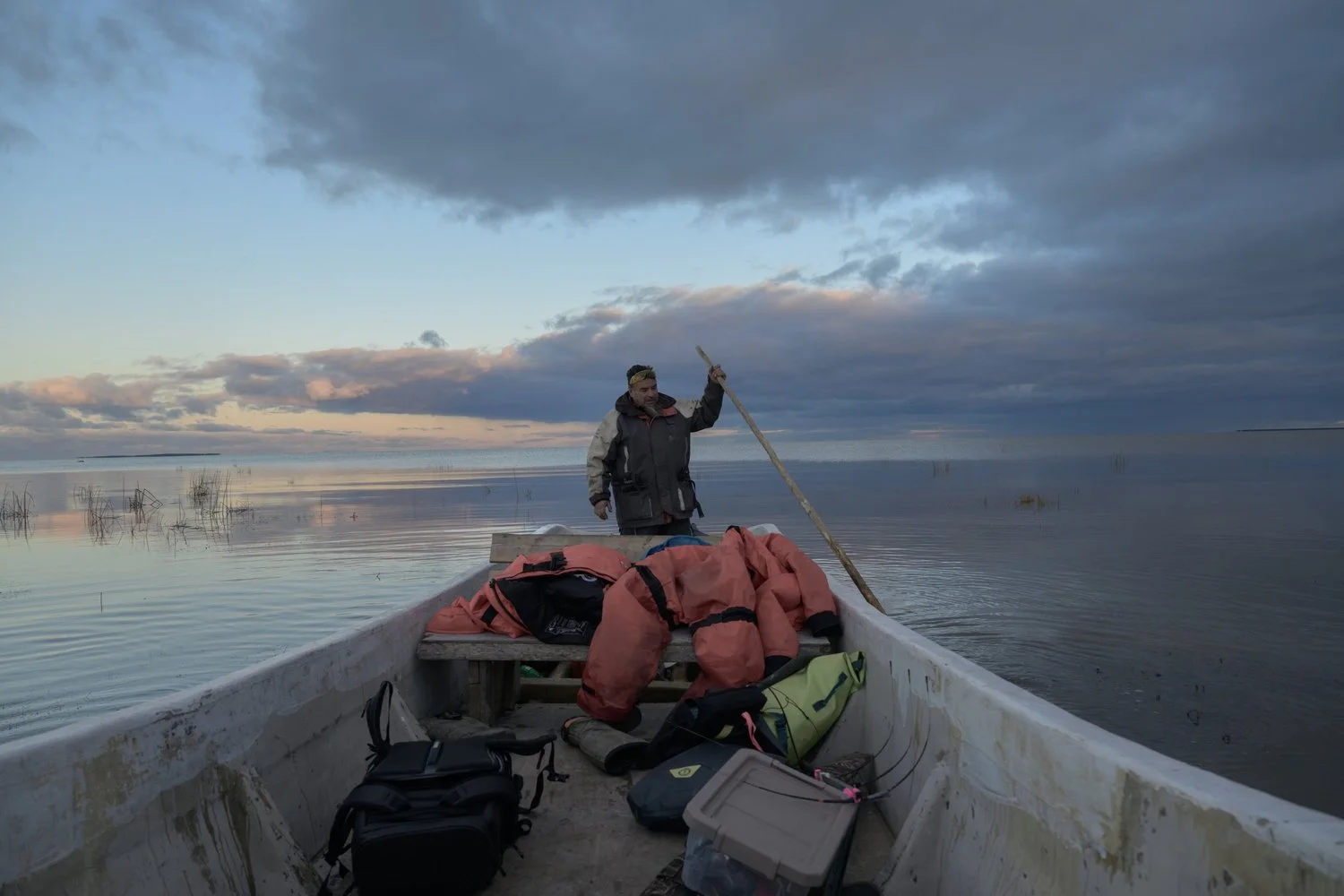 Photograph from Search for the Yellow Rail by Aaron Francesco Zeiss