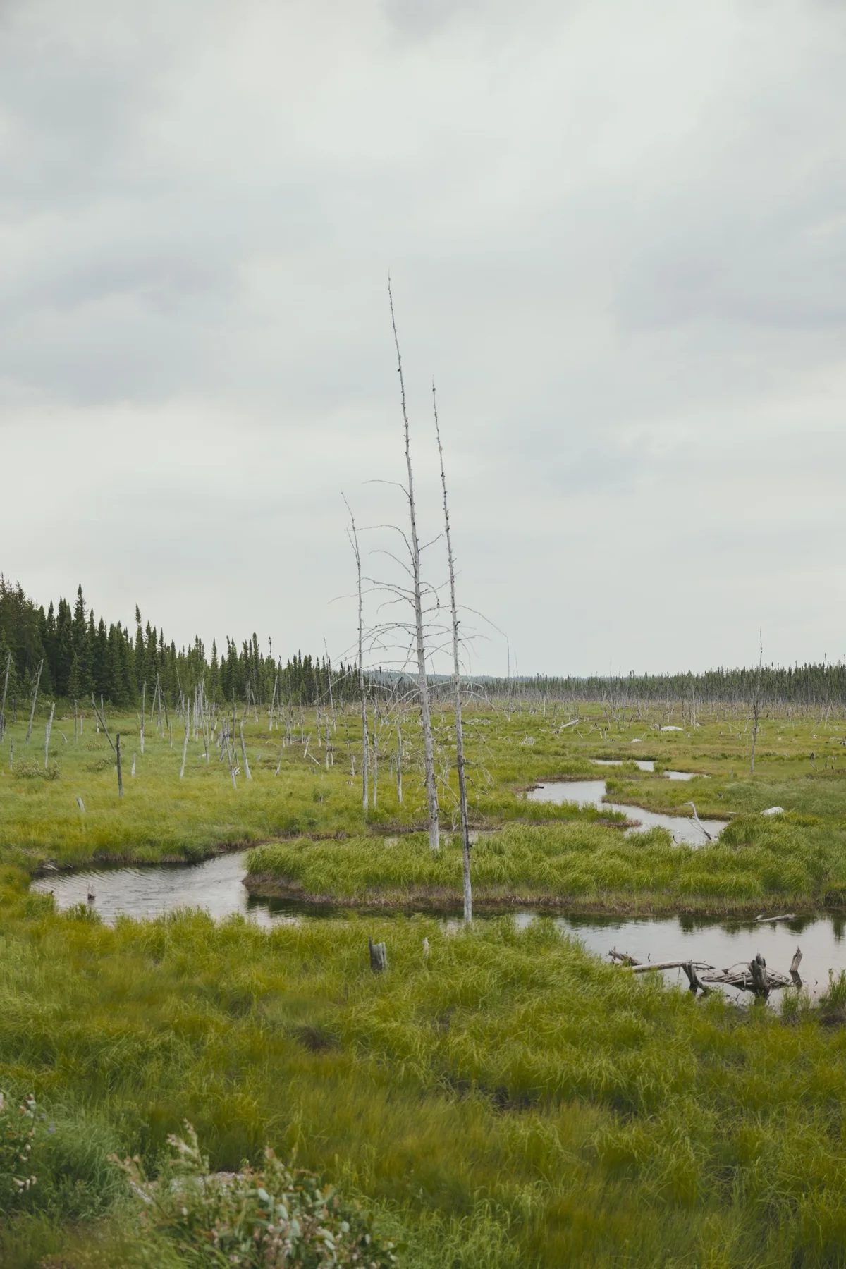Photograph from Waskaganish, Quebec by Aaron Francesco Zeiss