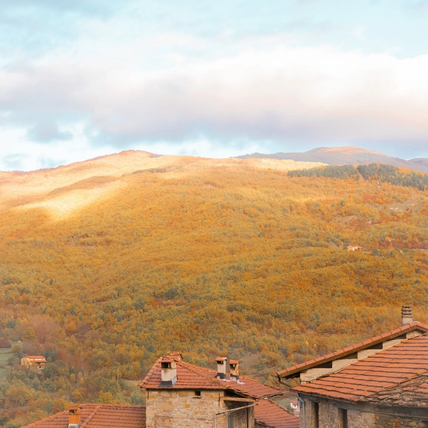 Photograph from Landscapes by Aaron Francesco Zeiss