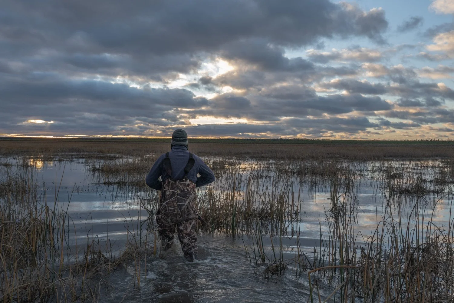 Photograph from Search for the Yellow Rail by Aaron Francesco Zeiss