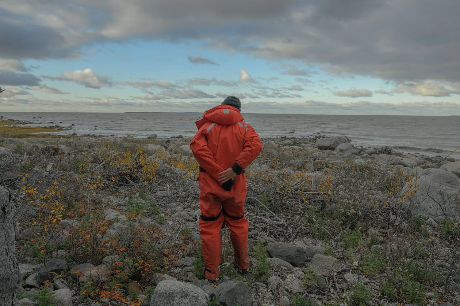 Photograph from Search for the Yellow Rail by Aaron Francesco Zeiss