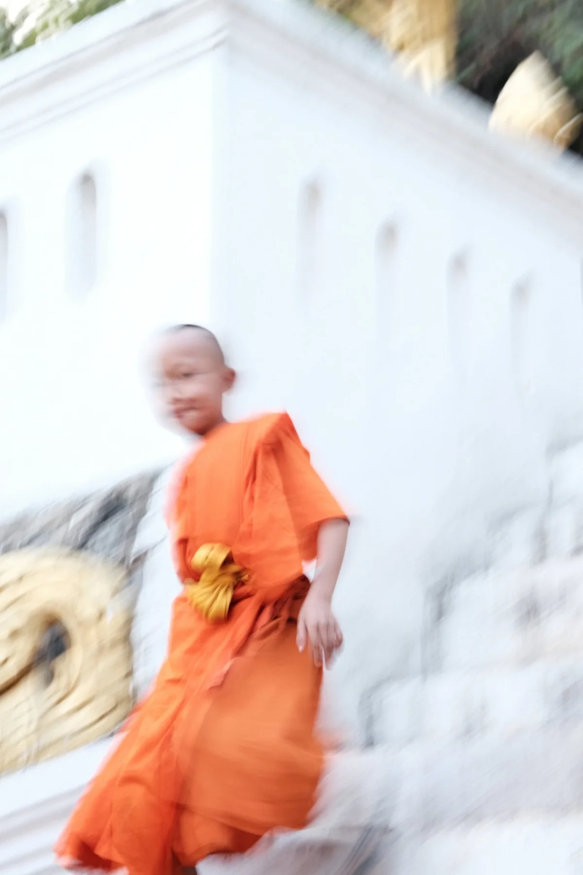 Photograph from From the Mekong to the Ganges by Aaron Francesco Zeiss