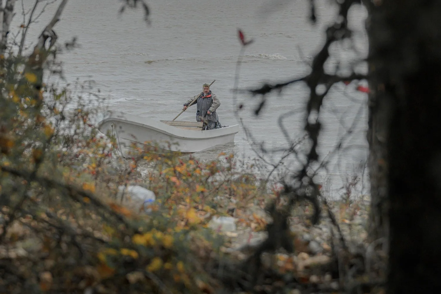 Photograph from Search for the Yellow Rail by Aaron Francesco Zeiss