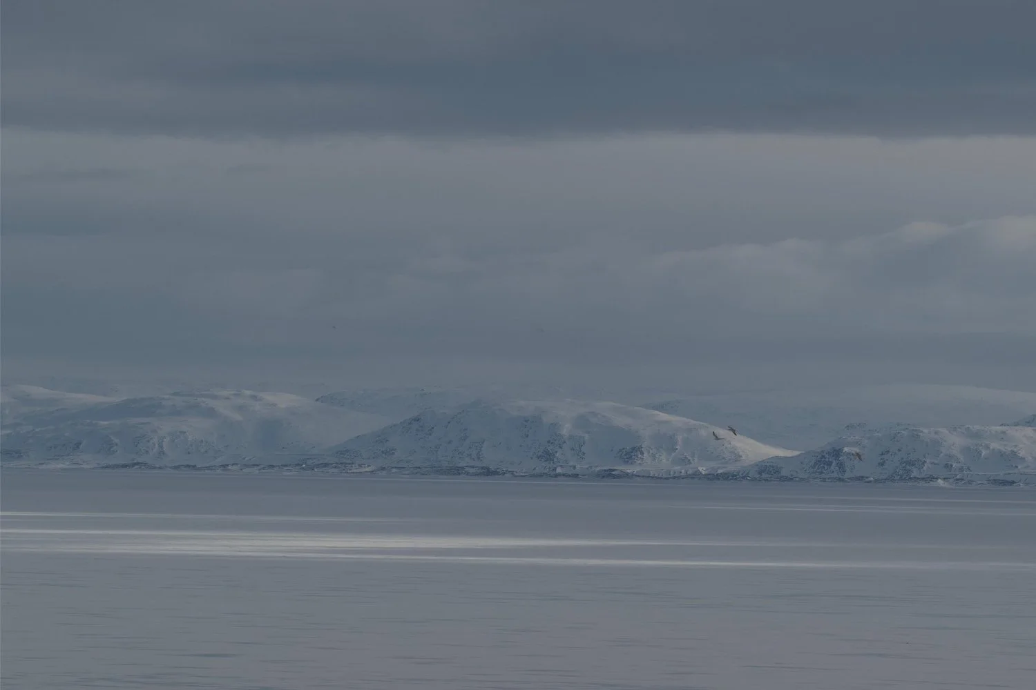 Photograph from Iqaluit, Nunavut by Aaron Francesco Zeiss