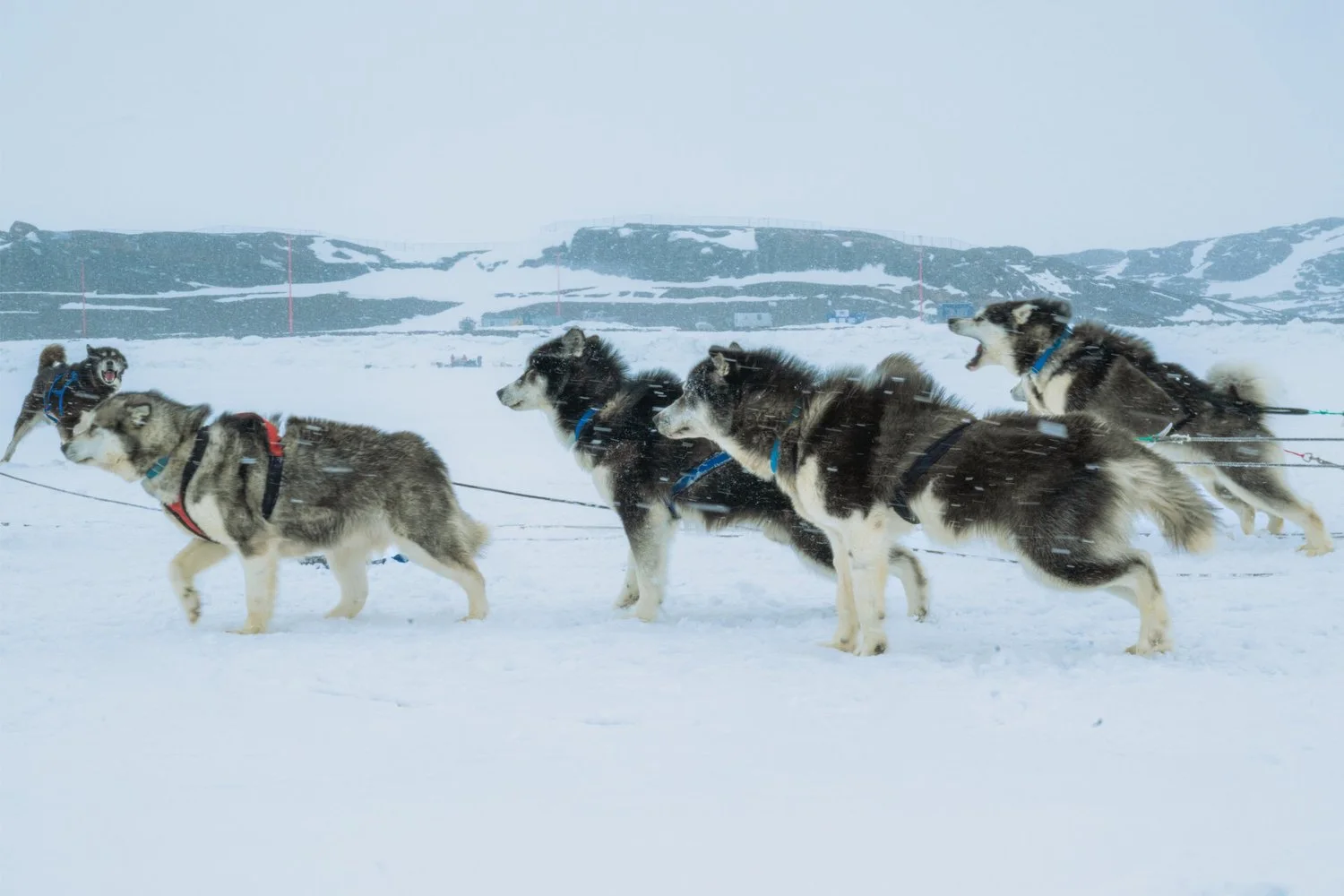 Photograph from Iqaluit, Nunavut by Aaron Francesco Zeiss