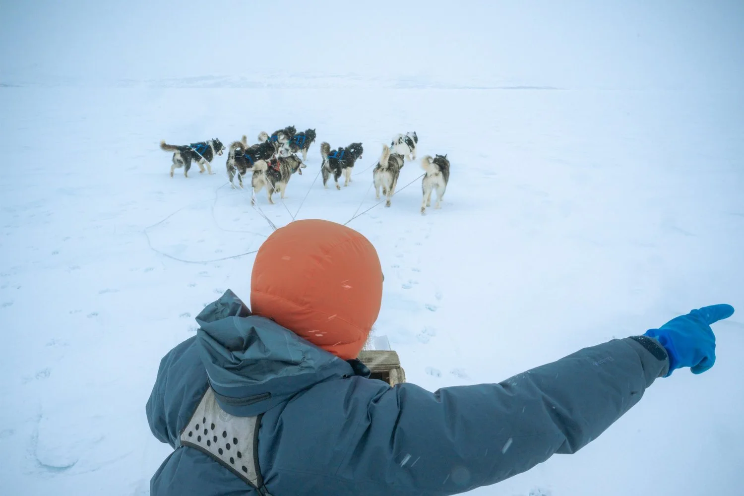 Photograph from Iqaluit, Nunavut by Aaron Francesco Zeiss