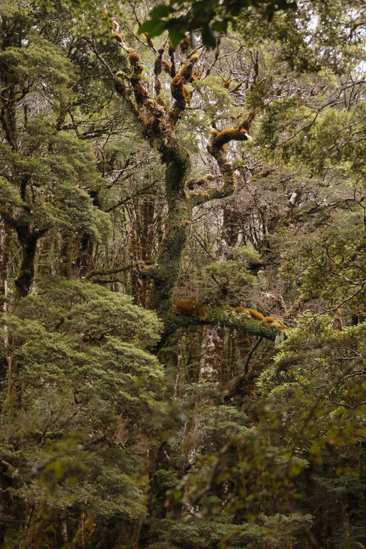 Photograph from Landscapes by Aaron Francesco Zeiss