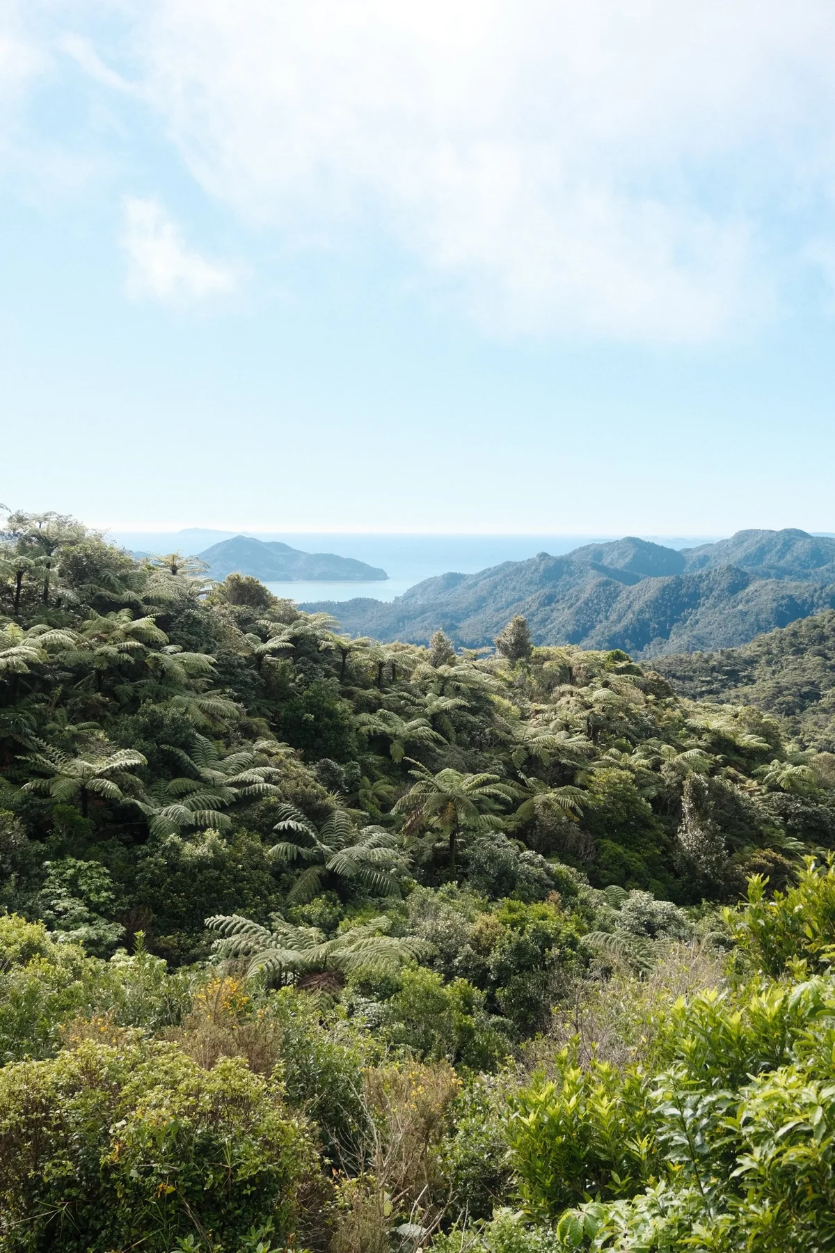 Photograph from Landscapes by Aaron Francesco Zeiss